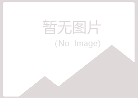 申扎县盼夏采矿有限公司